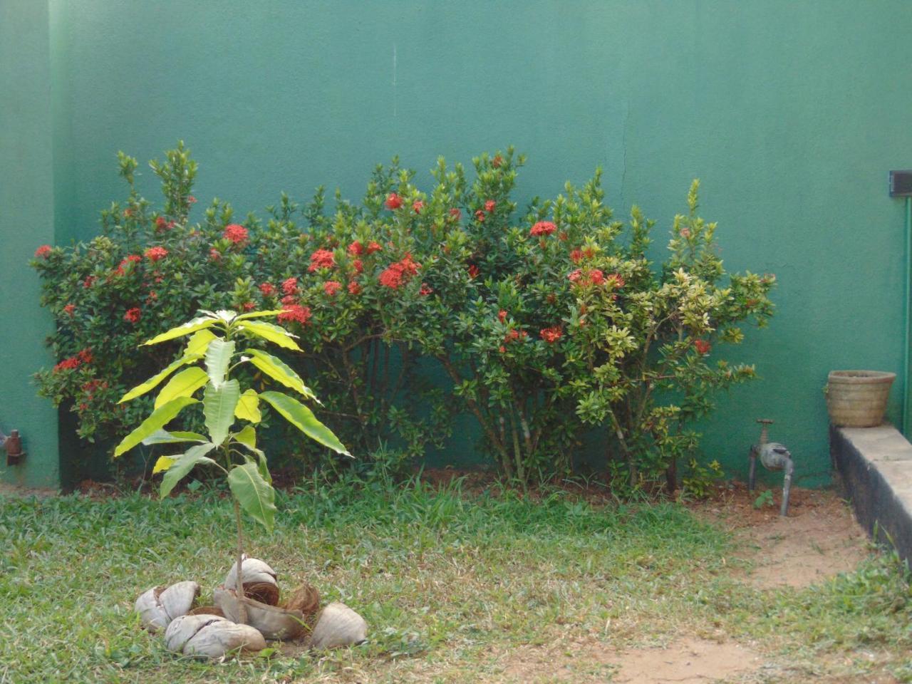 Luminary Place Hikkaduwa Exterior foto